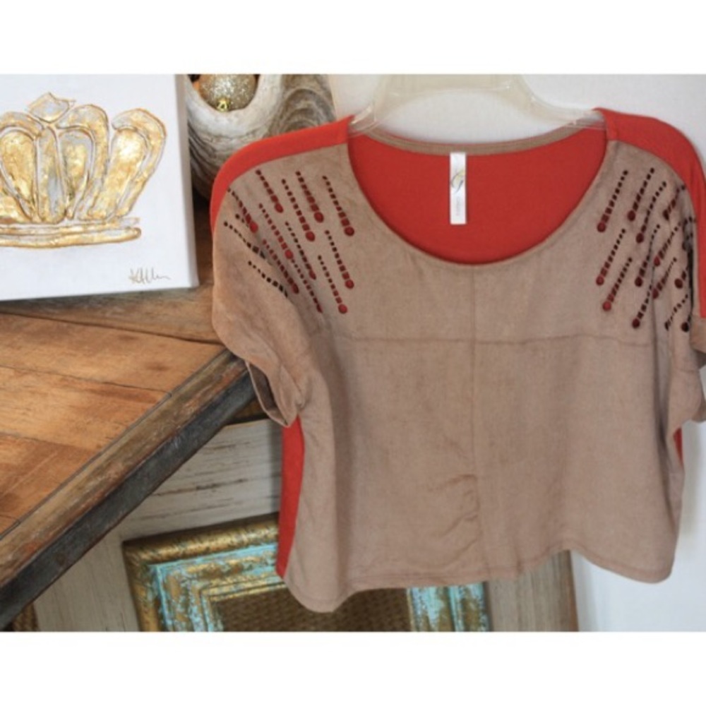 Ginger g suede shirt sleeve top